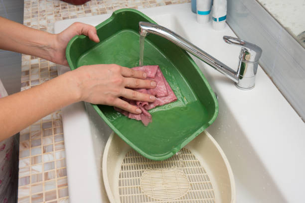 istock Girl washes cat tray 1135338112