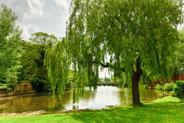 istock Canals of Bruges, Belgium 1135340422