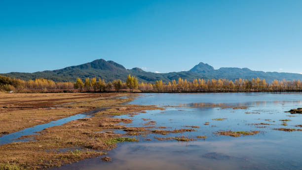 lashi sea à lijiang, chine - lijiang landscape wetland marsh photos et images de collection