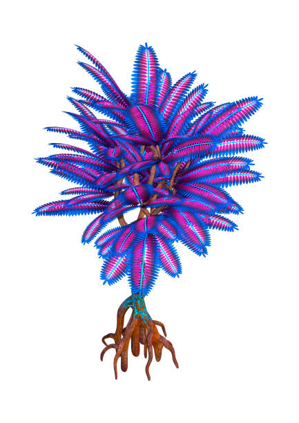 istock 3D illustration fantasy alien plant on white 1135344987