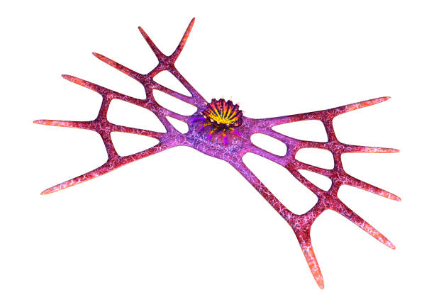 istock 3D illustration fantasy alien plant on white 1135345008