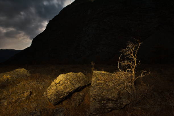 istock Moonlight night in the Altai Mountains 1135347497
