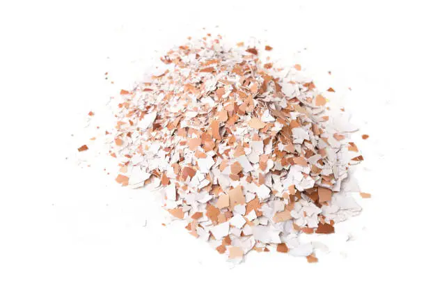 Piles of crushed eggshells, top view,