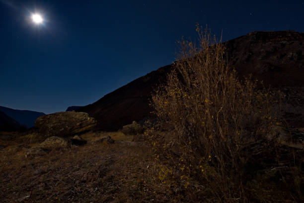 istock Moonlight night in the Altai Mountains 1135348586