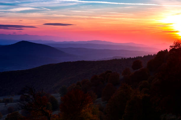 Sunset over hills covered with autumn trees