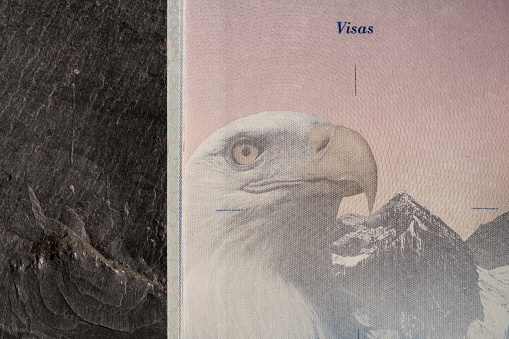 Detail of the visa page in a US passport against a slate background