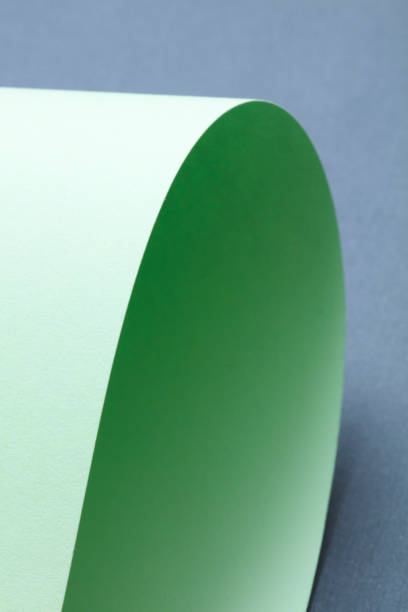 istock Green Curled paper on gray background. 1135353924