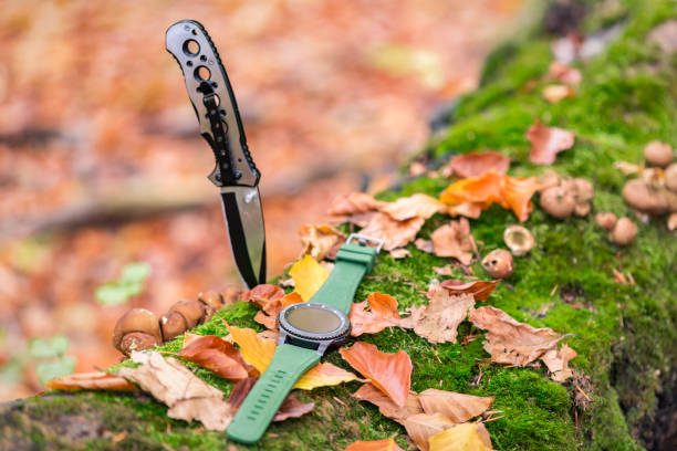 istock Folding knife and watch in the autumn forest 1135354061