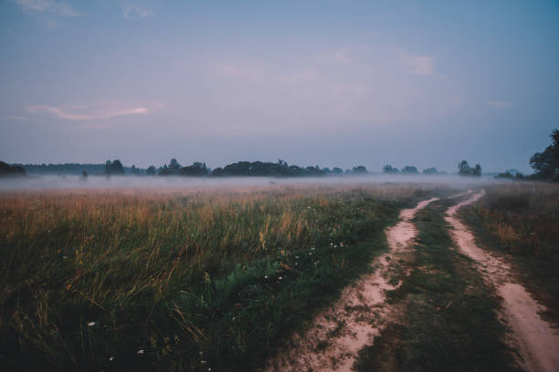 istock Sunrise on the fields with fog, rural road. 1135354193