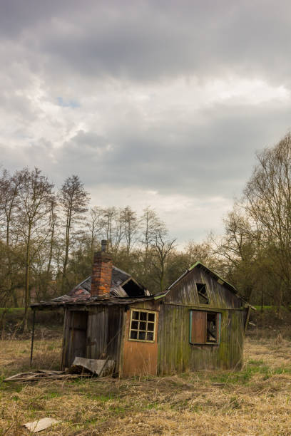 istock Ruined cabin in the swamps 1135355446