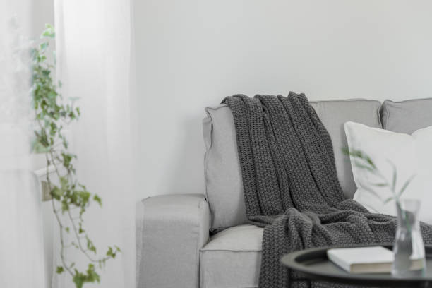 istock Living room with gray couch 1135356849
