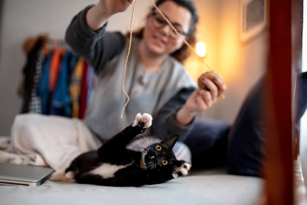 Young woman playing on the bed with her cat