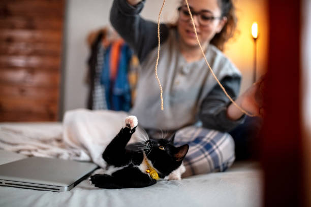 istock Young woman playing on the bed with her cat 1135362790