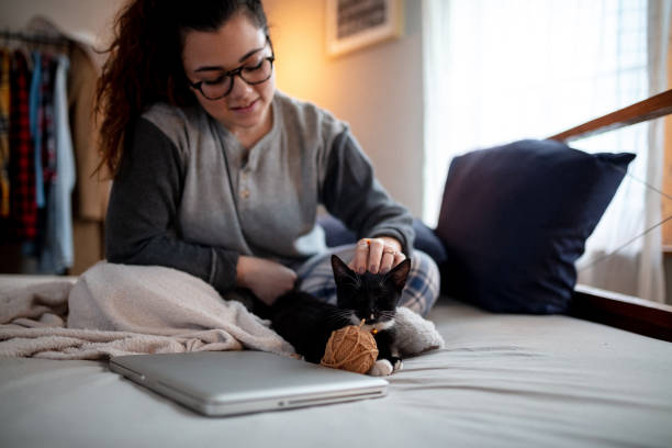 istock Young woman playing on the bed with her cat 1135362803
