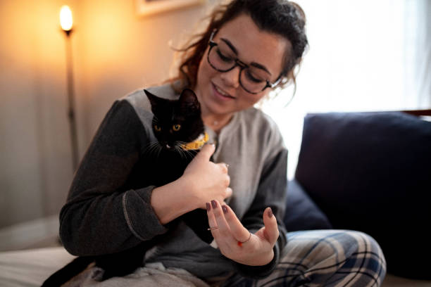 istock Young woman playing on the bed with her cat 1135362855