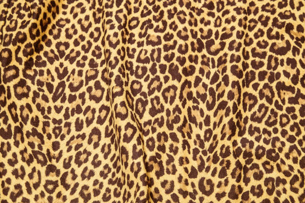 istock Jaguar pattern fabric, wild print picture, camouflage pattern background, design. 1135363312