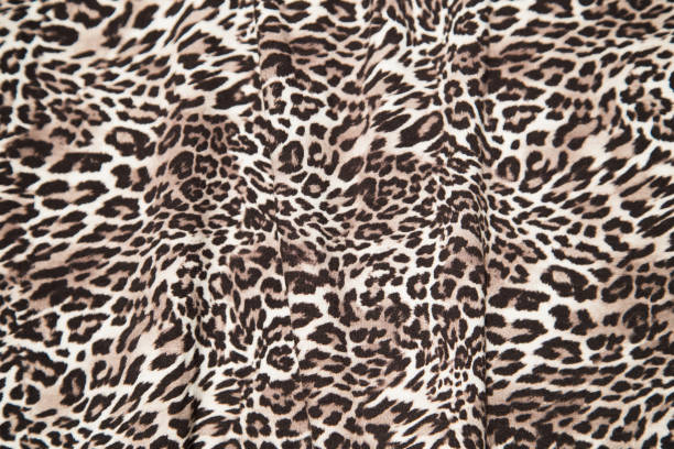 istock Leopard background pattern, animal print, leopard textile design, fabric. Leopard skin seamless pattern. 1135363835