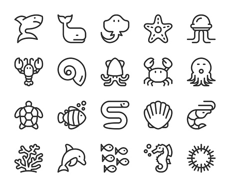 Sea Life and Ocean Animal - Line Icons Vector EPS File.