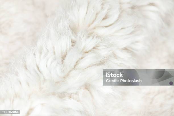 598,000+ White Fluff Stock Photos, Pictures & Royalty-Free Images - iStock