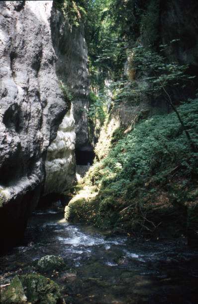istock Gorges and Brook in the Vercors 1135369861