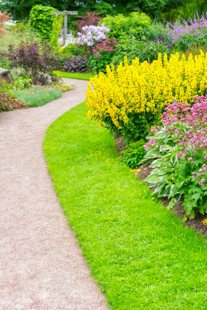 istock Lavish summer garden 1135371723