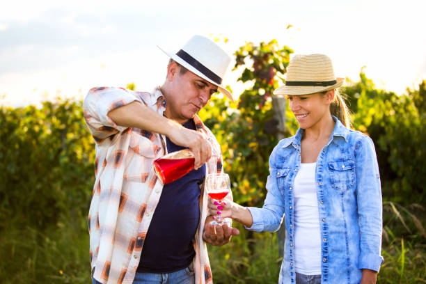 istock Couple in Vineyard Harvesting Grapes and tasting vine 1135372421