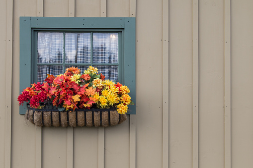 Exterior of cottage wall with window with gingham curtains and flower box.