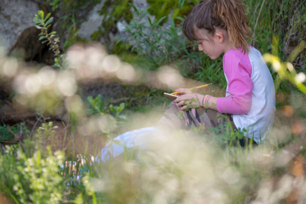 istock Young girl sketching plants on a field trip 1135373268