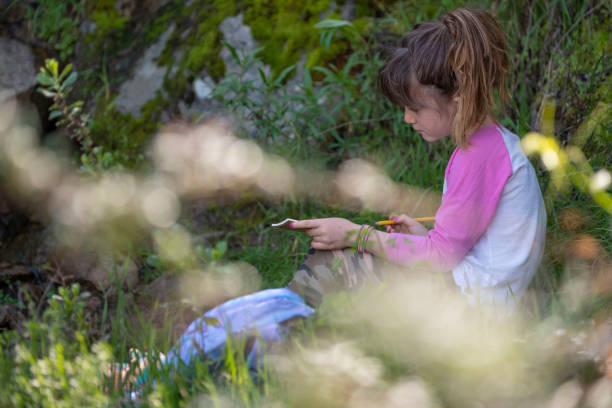 istock Young girl sketching plants on a field trip 1135373287