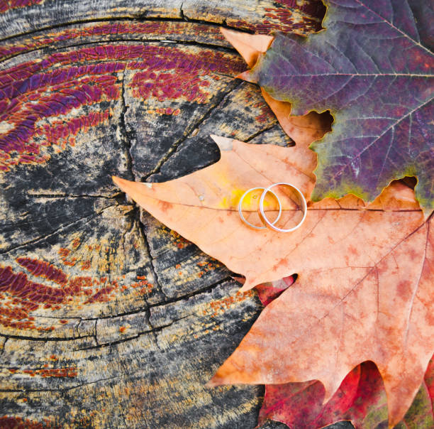 istock Golden wedding rings on autumn maple leaves 1135374834
