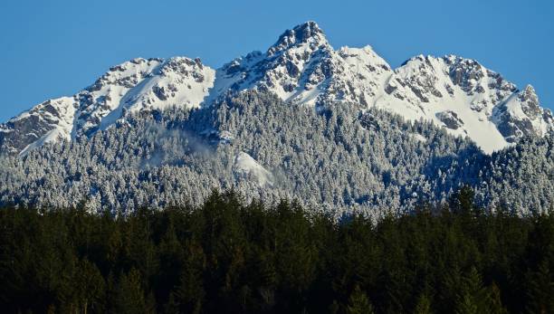 istock The Brothers Wilderness Zen 1135374850