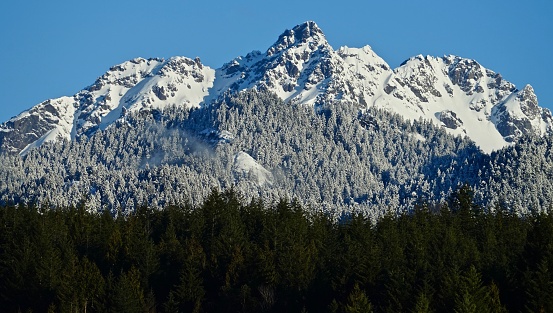 Northwest Washington's Olympic Mountains.
Olympic National Forest/East Edge.
The Brothers Wilderness.
Above Hood Canal.