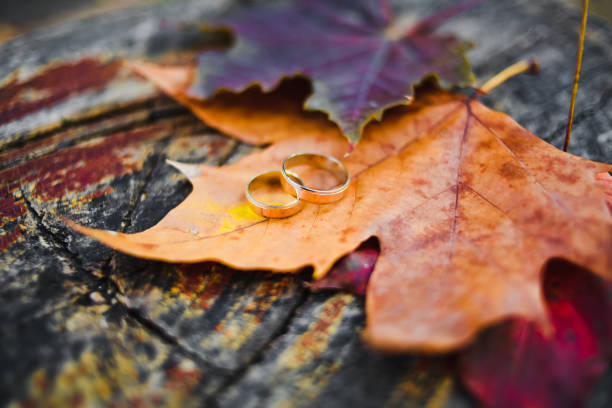 istock Golden wedding rings on autumn maple leaves 1135374854