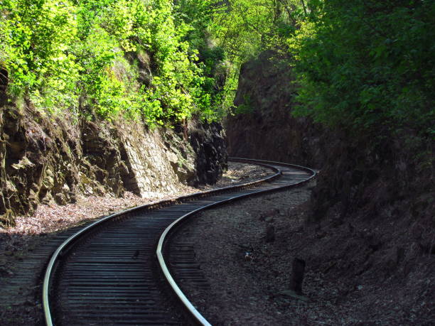 istock old railway tracks in nature, traveling by train 1135375825