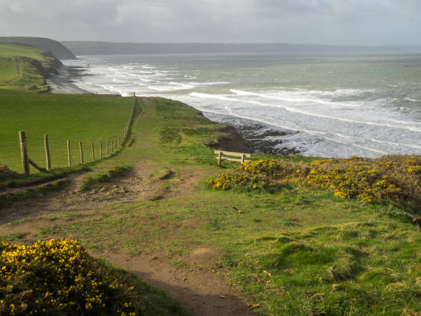 istock Spring colours along the coast path on The North Devon Coast of England 1135376243