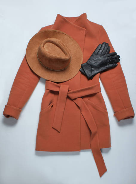 istock Brown women's cashmere coat, felt hat, leather gloves on white background. Top view 1135377580