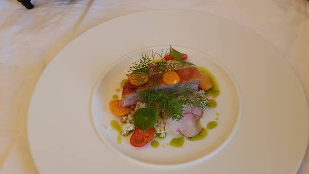 istock Gourmet food plates 1135379757