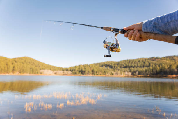The turning fishing-rod coil.