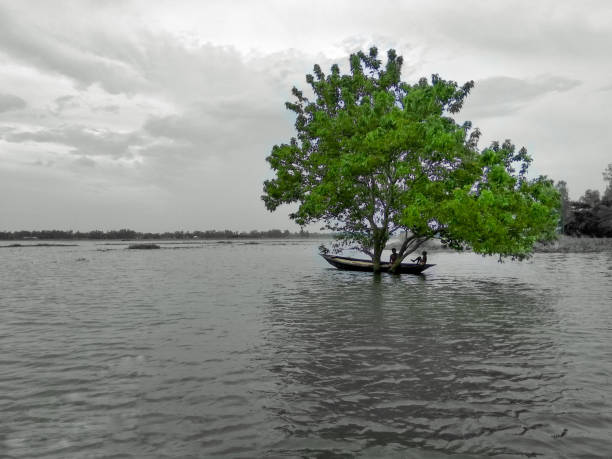 istock Natural Beauty of a River 1135382070