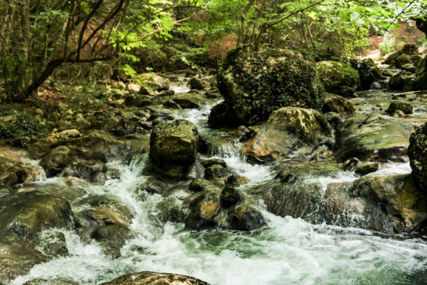istock Stones in the rapid flow of water. 1135382688
