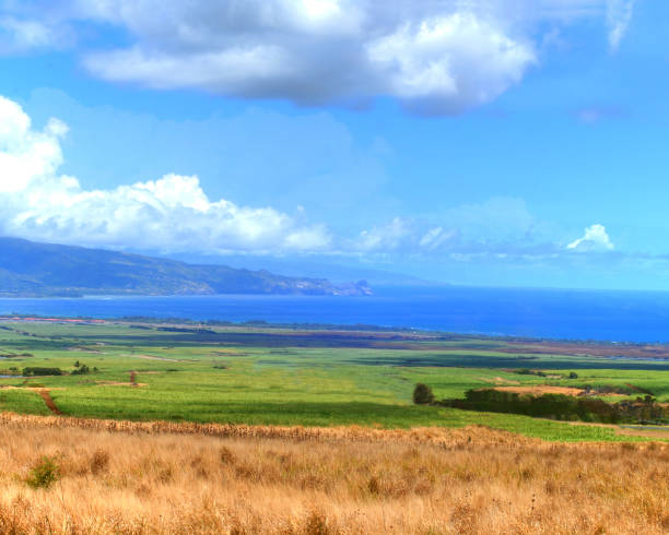 View across agricultural land down the slopes of Haleakalea to Central Maui and the Ocean. Beyond the Island of Molokai is visible.