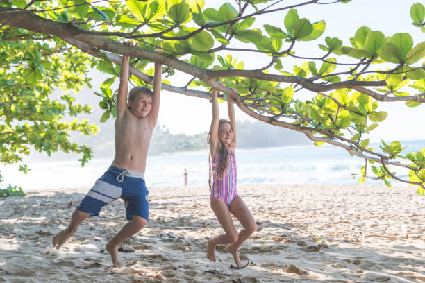 istock Two young siblings hang from a tree branch at the beach 1135384300