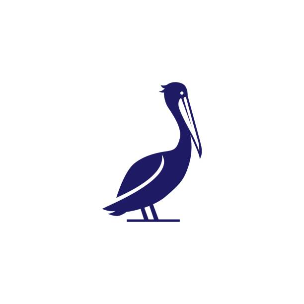illustrazioni stock, clip art, cartoni animati e icone di tendenza di pelican golfo uccello costa spiaggia icona icona illustrazione - pellicano