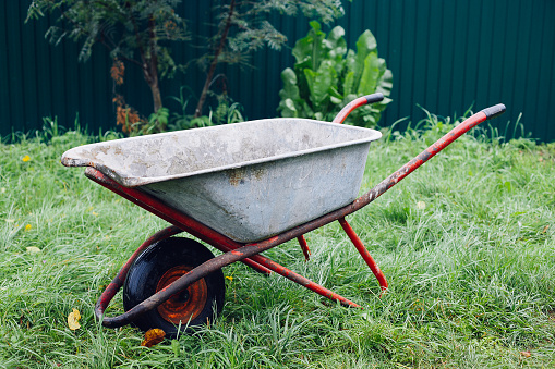 Gardening Tools - Wheelbarrow on green grass lawn in a farm garden