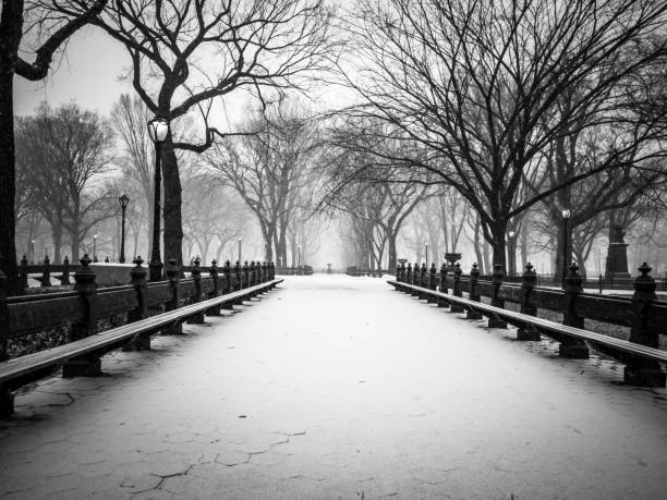 istock Snow Fall In Central Park, New York City 1135387149