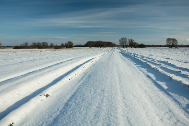 istock Road and fields covered with snow and blue sky 1135389308