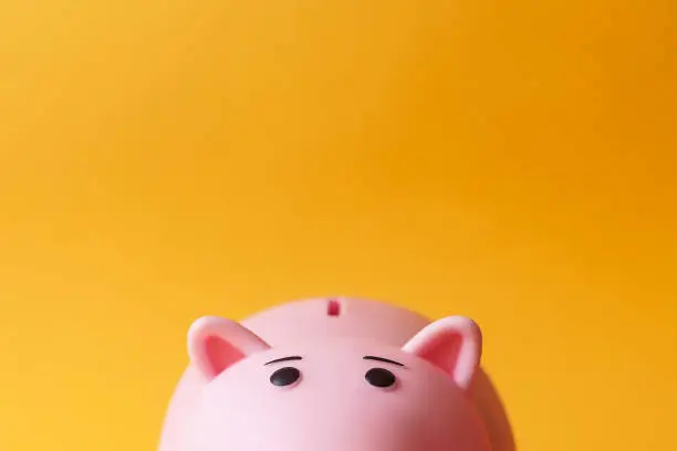 Photo of pink toy piggy money box