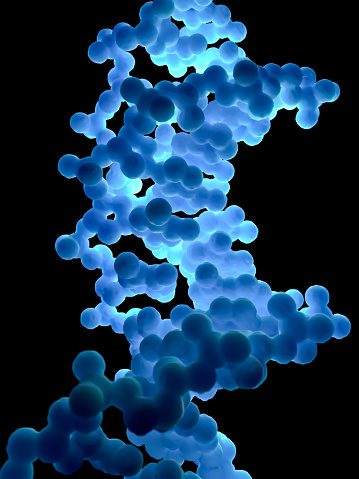 Digital medical illustration: Microscopic view of human DNA (PDB-1BNA). Based on actual molecular data.