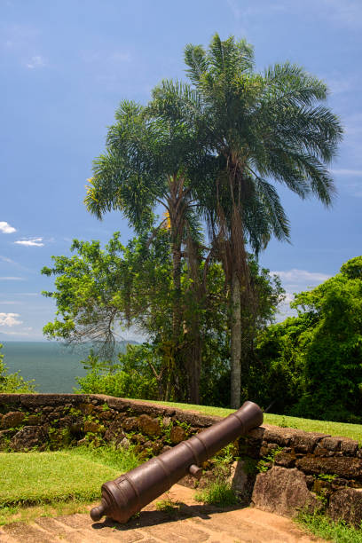 istock Old Cannon in Paraty 1135394411