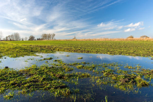 istock Puddles on a green field and blue sky 1135394488